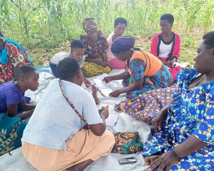 Generic placeholder image